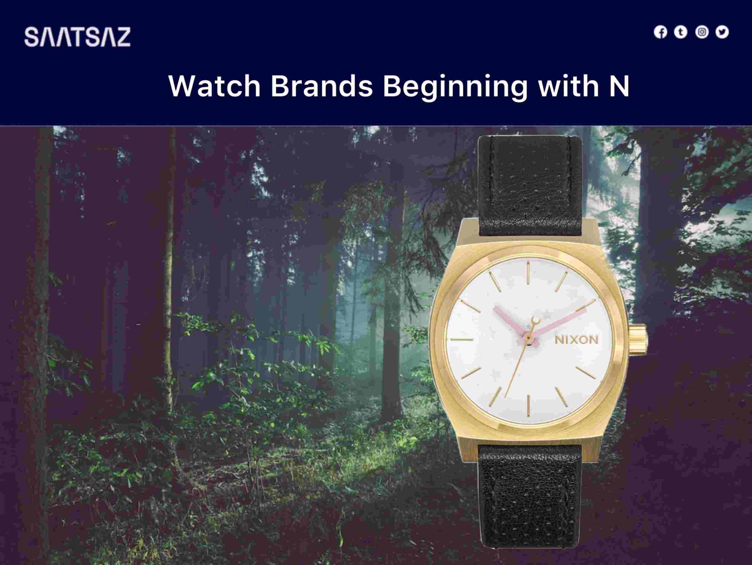 Watch Brands Beginning with N
